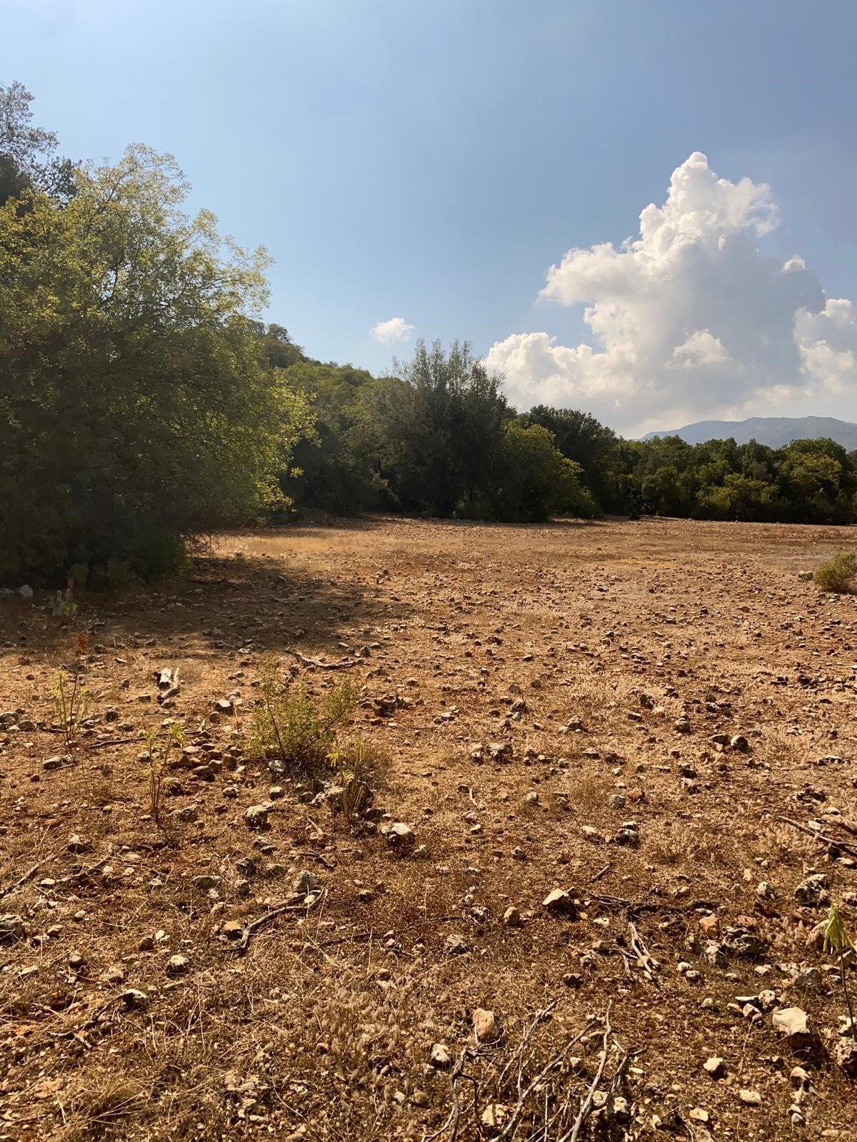 Kaş Pınarbaşı mah. uygun fiyatlı tarla