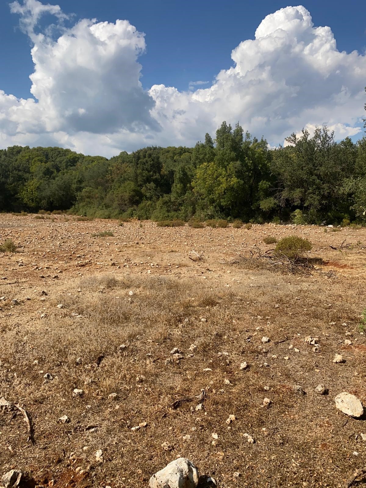 Kaş Pınarbaşı mah. uygun fiyatlı tarla