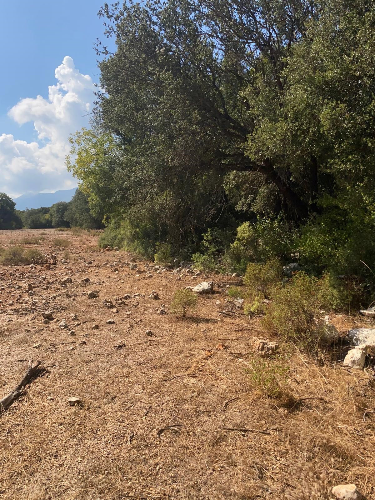 Kaş Pınarbaşı mah. uygun fiyatlı tarla