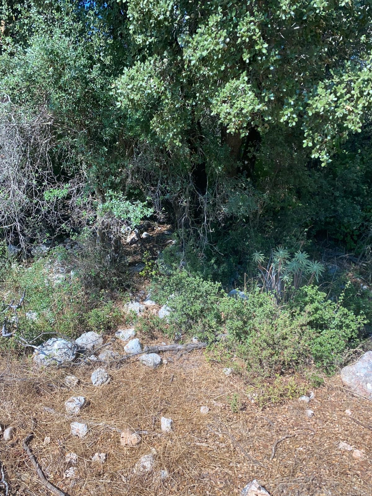 Kaş Pınarbaşı mah. uygun fiyatlı tarla