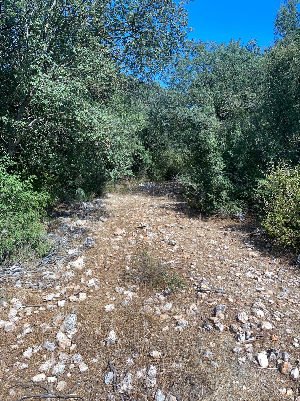Kaş Pınarbaşı mah. uygun fiyatlı tarla