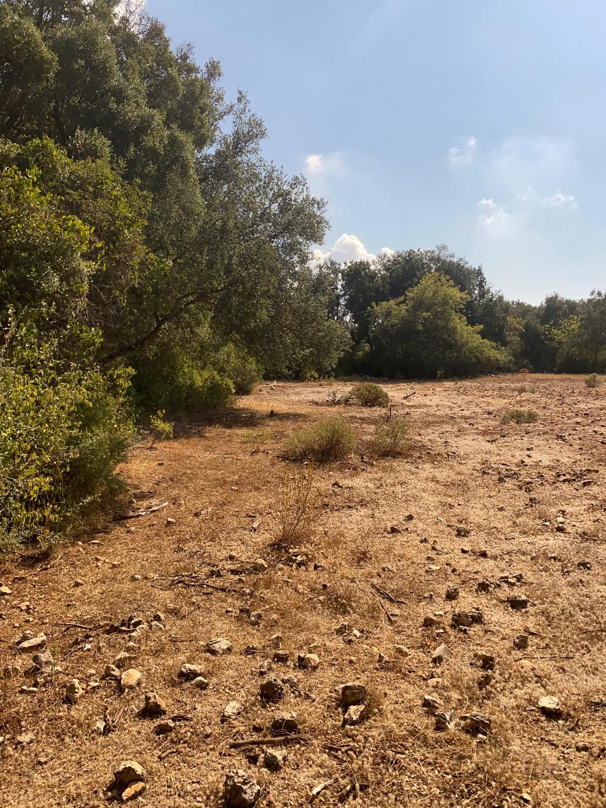 Kaş Pınarbaşı mah. uygun fiyatlı tarla