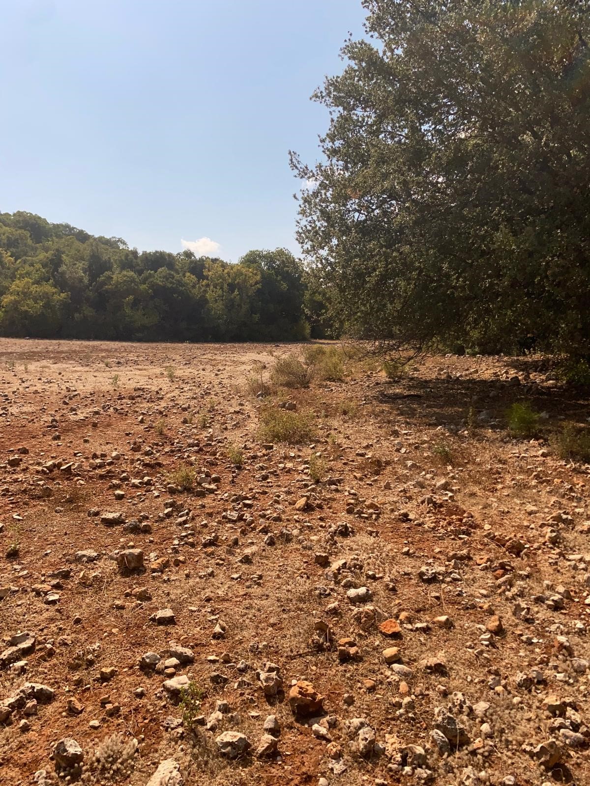 Kaş Pınarbaşı mah. uygun fiyatlı tarla