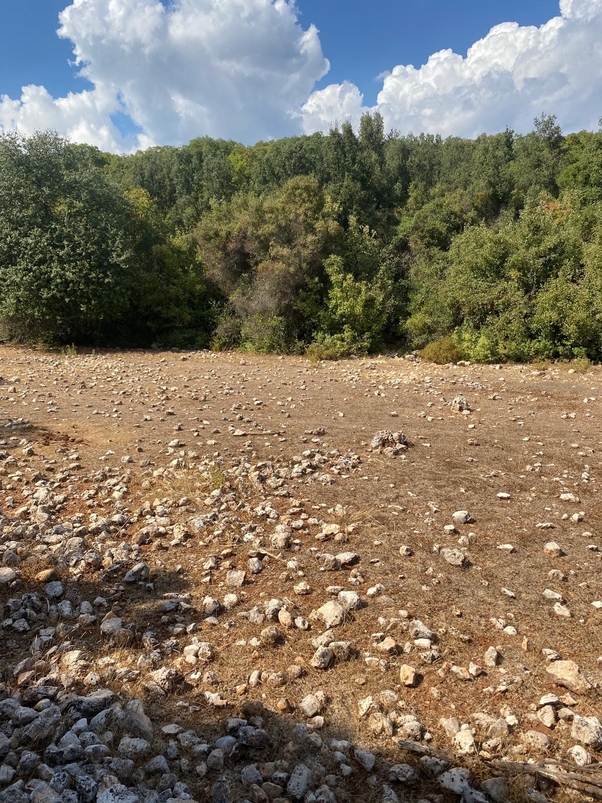 Kaş Pınarbaşı mah. uygun fiyatlı tarla