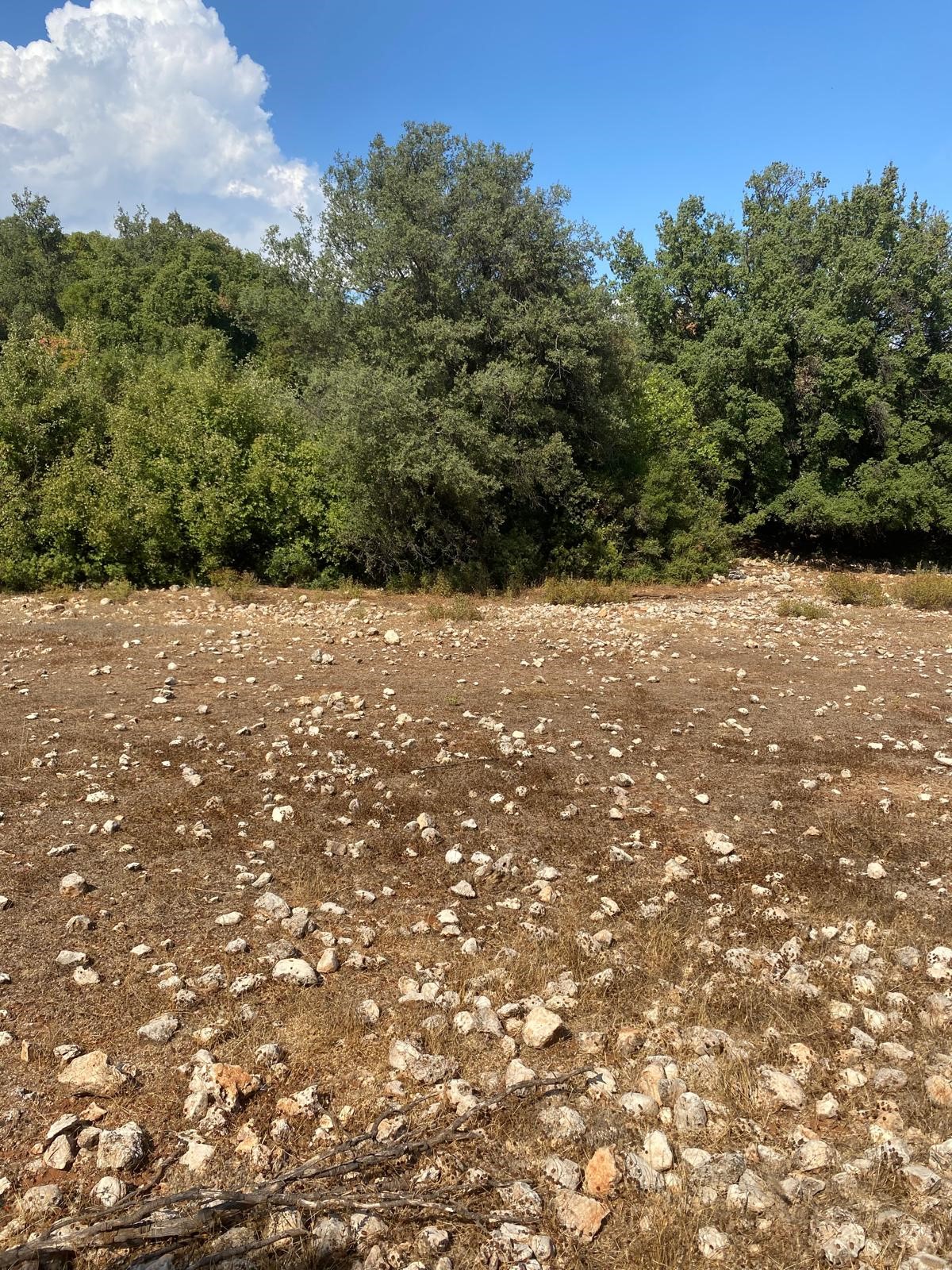 Kaş Pınarbaşı mah. uygun fiyatlı tarla
