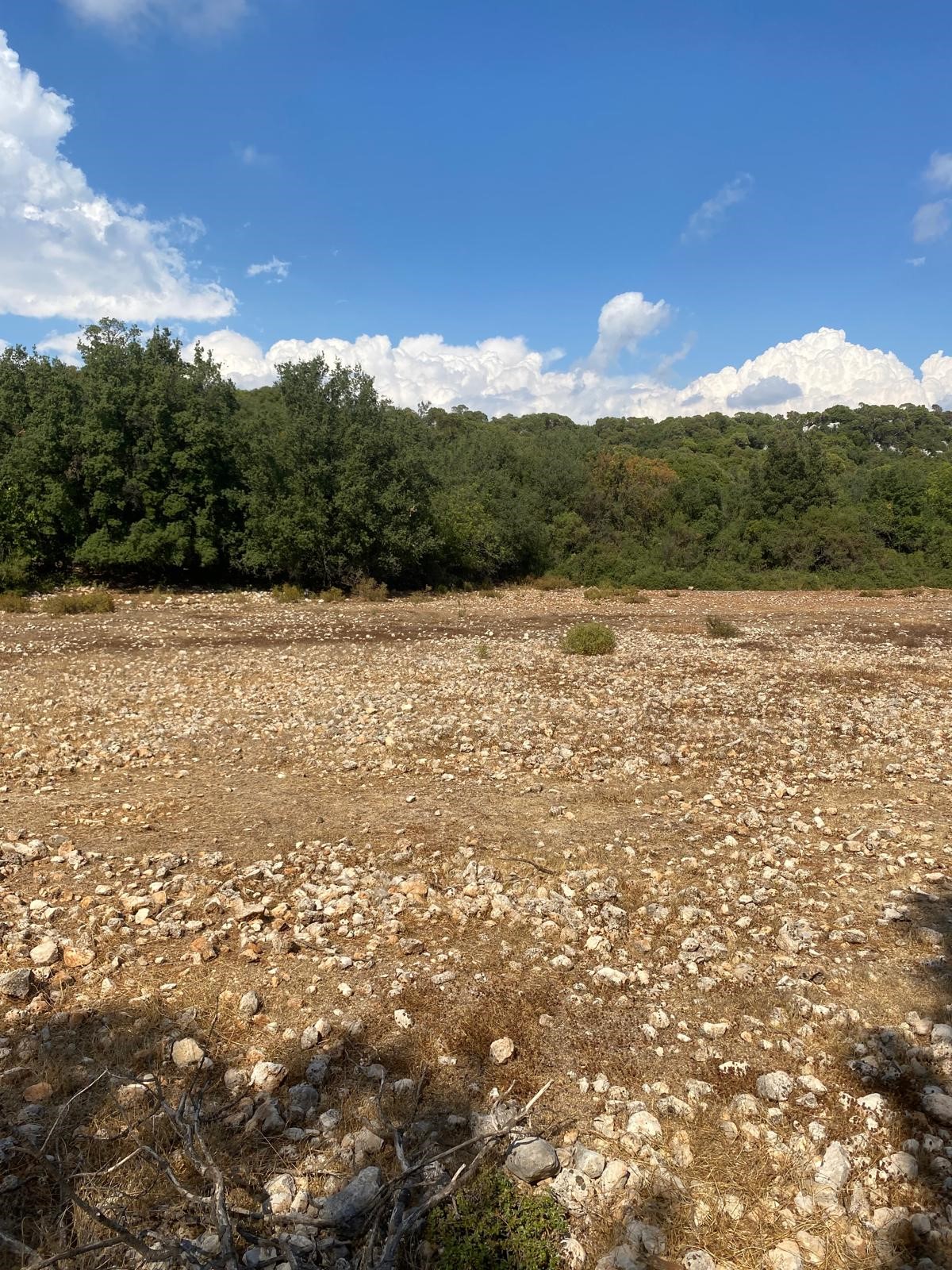 Kaş Pınarbaşı mah. uygun fiyatlı tarla
