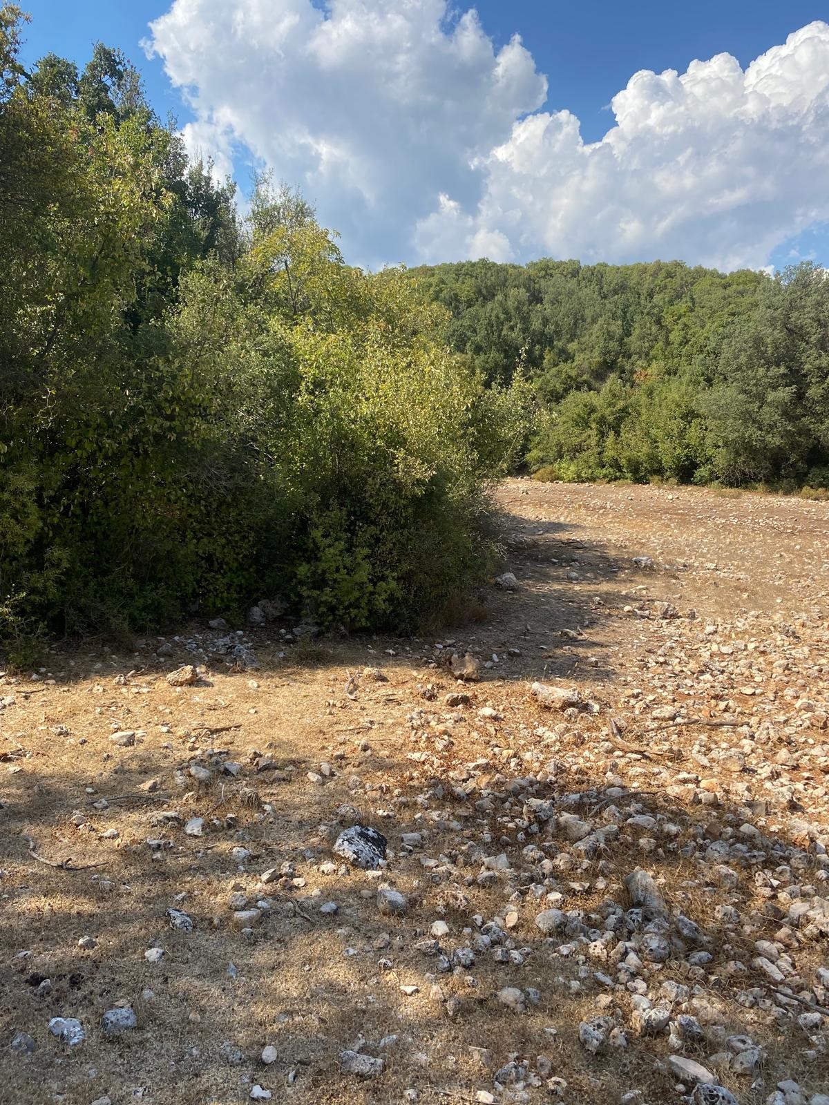 Kaş Pınarbaşı mah. uygun fiyatlı tarla