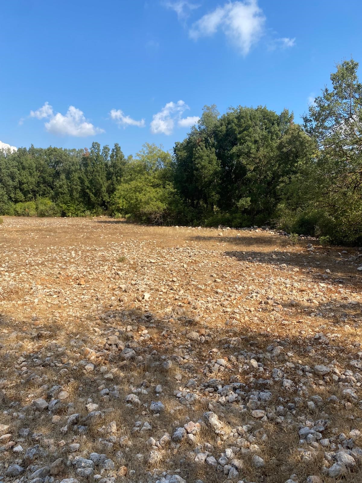 Kaş Pınarbaşı mah. uygun fiyatlı tarla