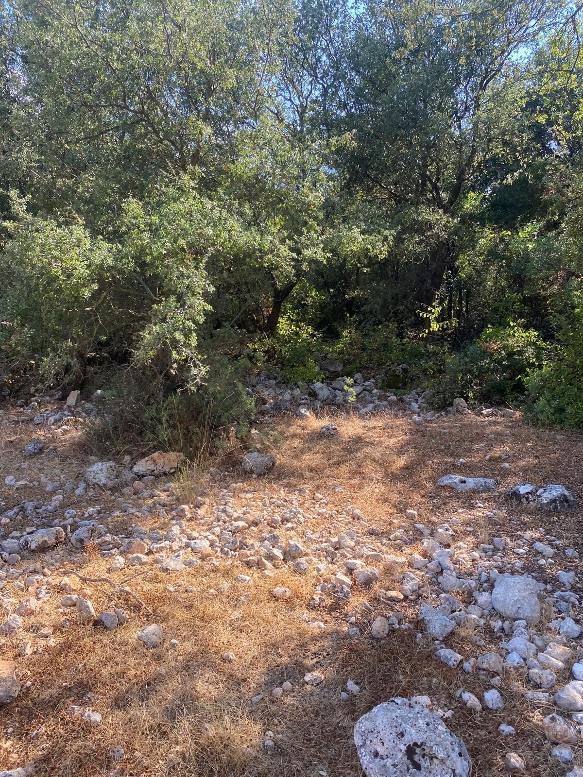 Kaş Pınarbaşı mah. uygun fiyatlı tarla