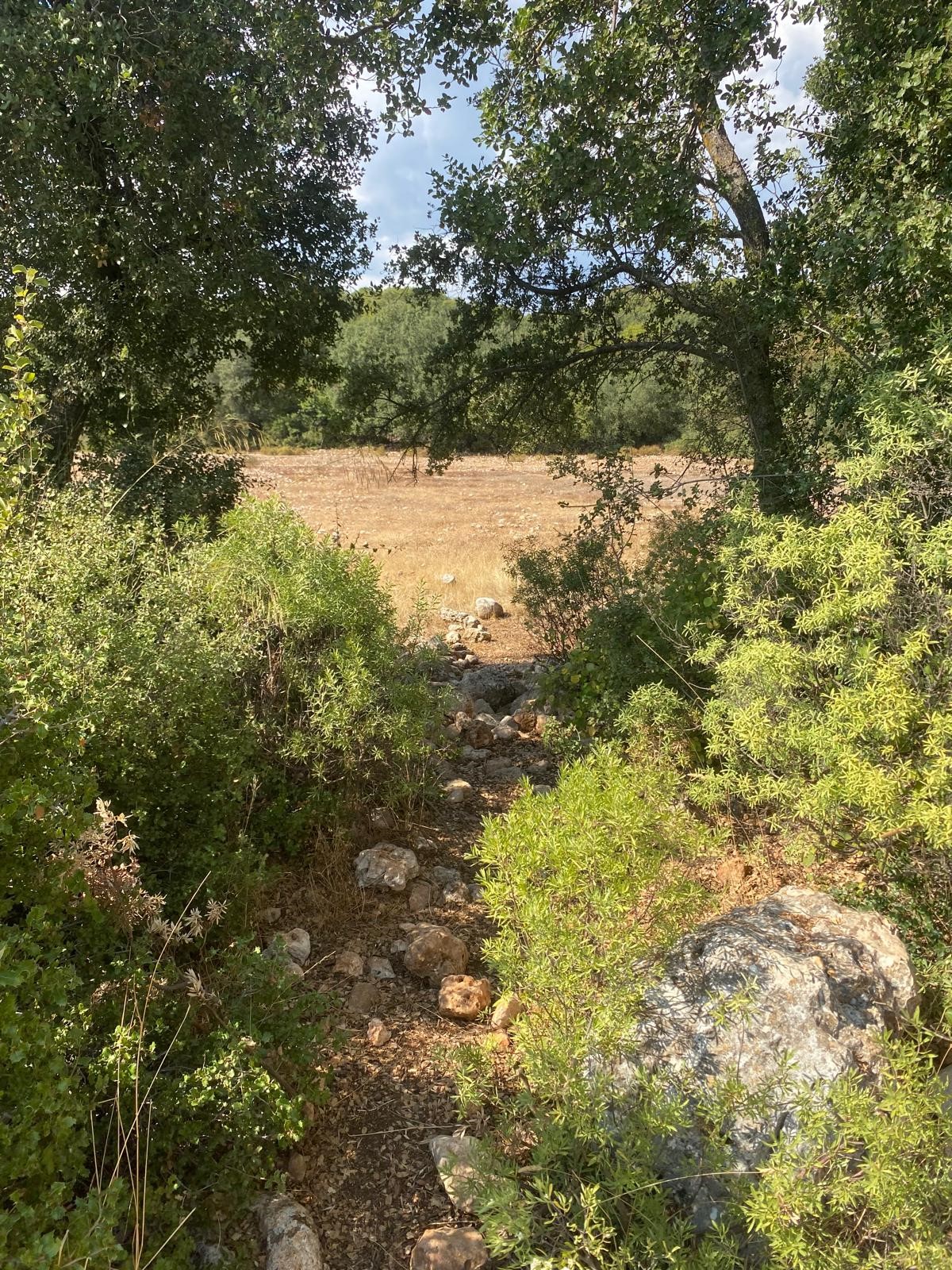 Kaş Pınarbaşı mah. uygun fiyatlı tarla
