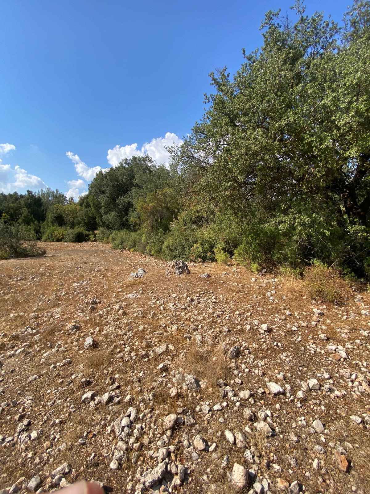 Kaş Pınarbaşı mah. uygun fiyatlı tarla