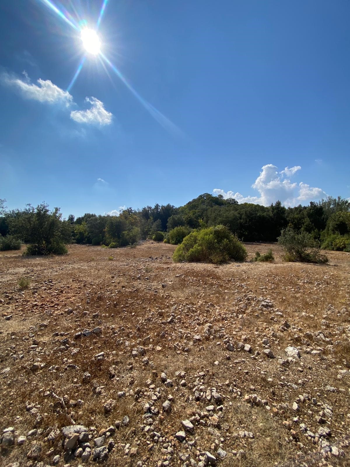 Kaş Pınarbaşı mah. uygun fiyatlı tarla
