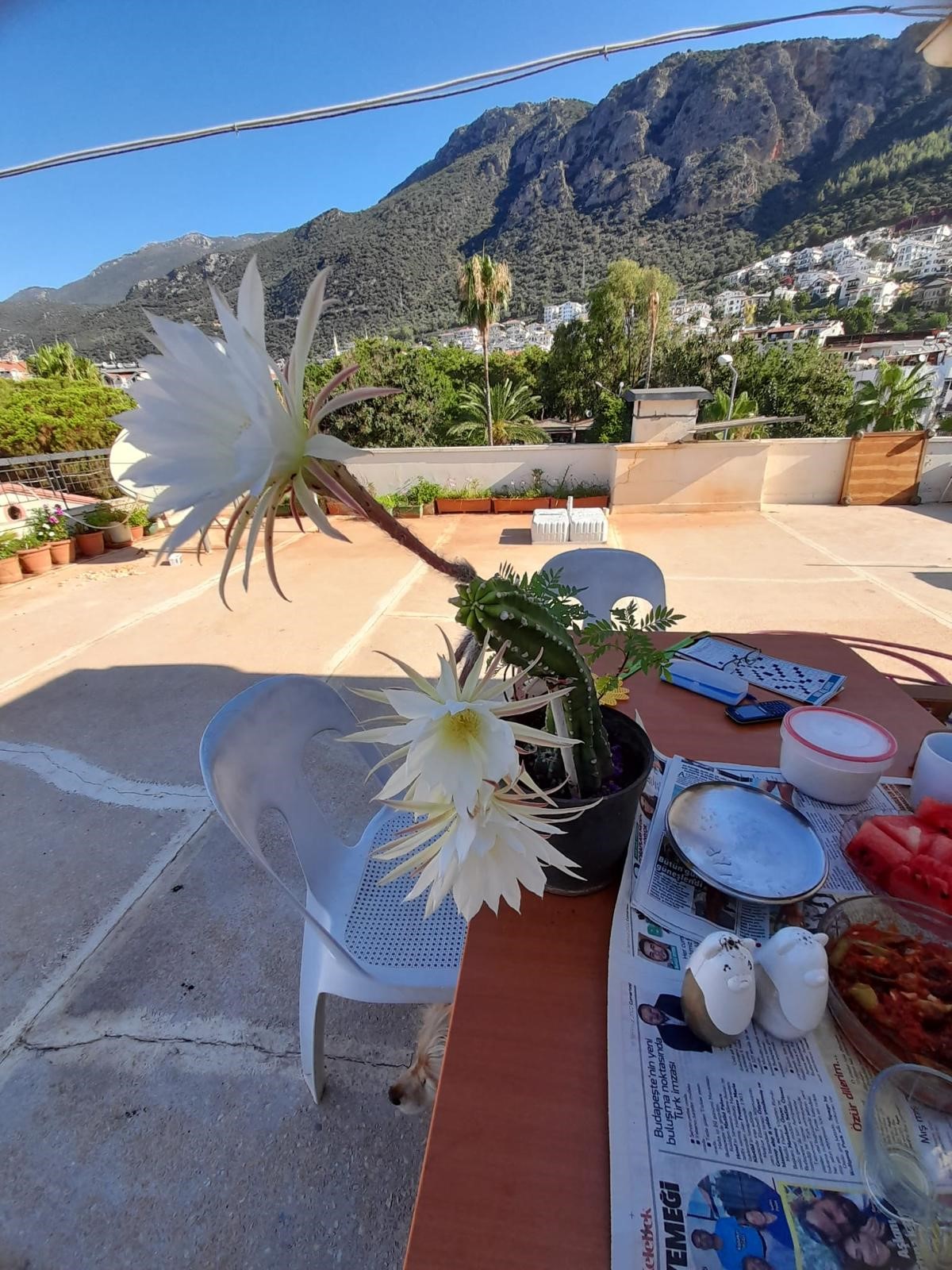 Kaş'ın merkezinde emsalsiz fırsat!!!