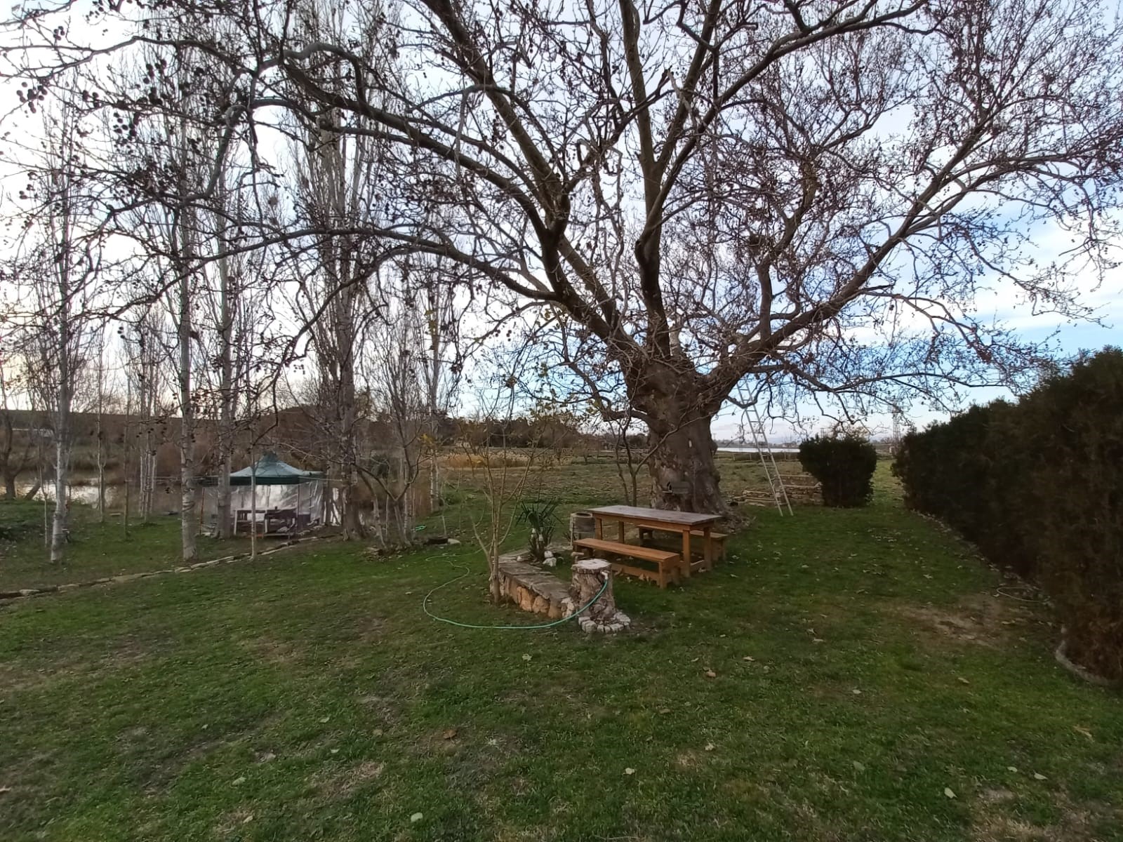 Edirne Enez'de Satılık 23.137 m² Müstesna Çiftlik Evi