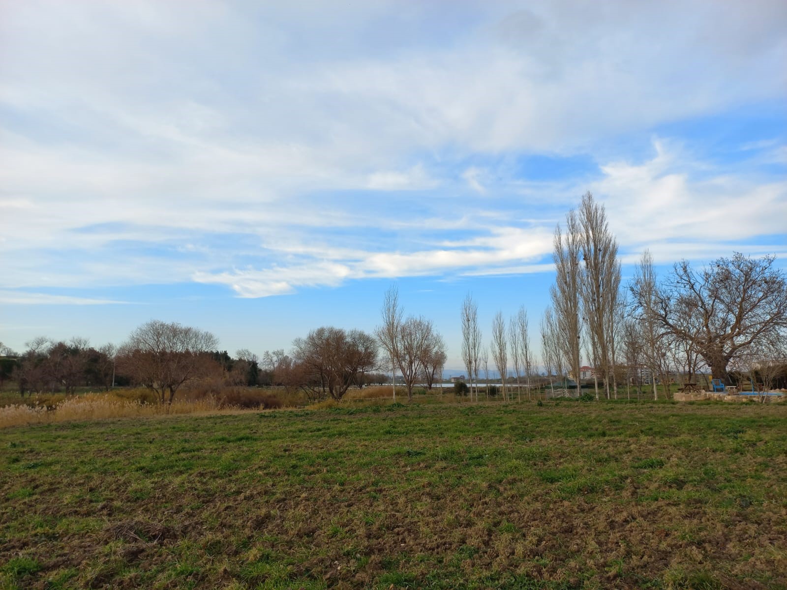 Edirne Enez'de Satılık 23.137 m² Müstesna Çiftlik Evi