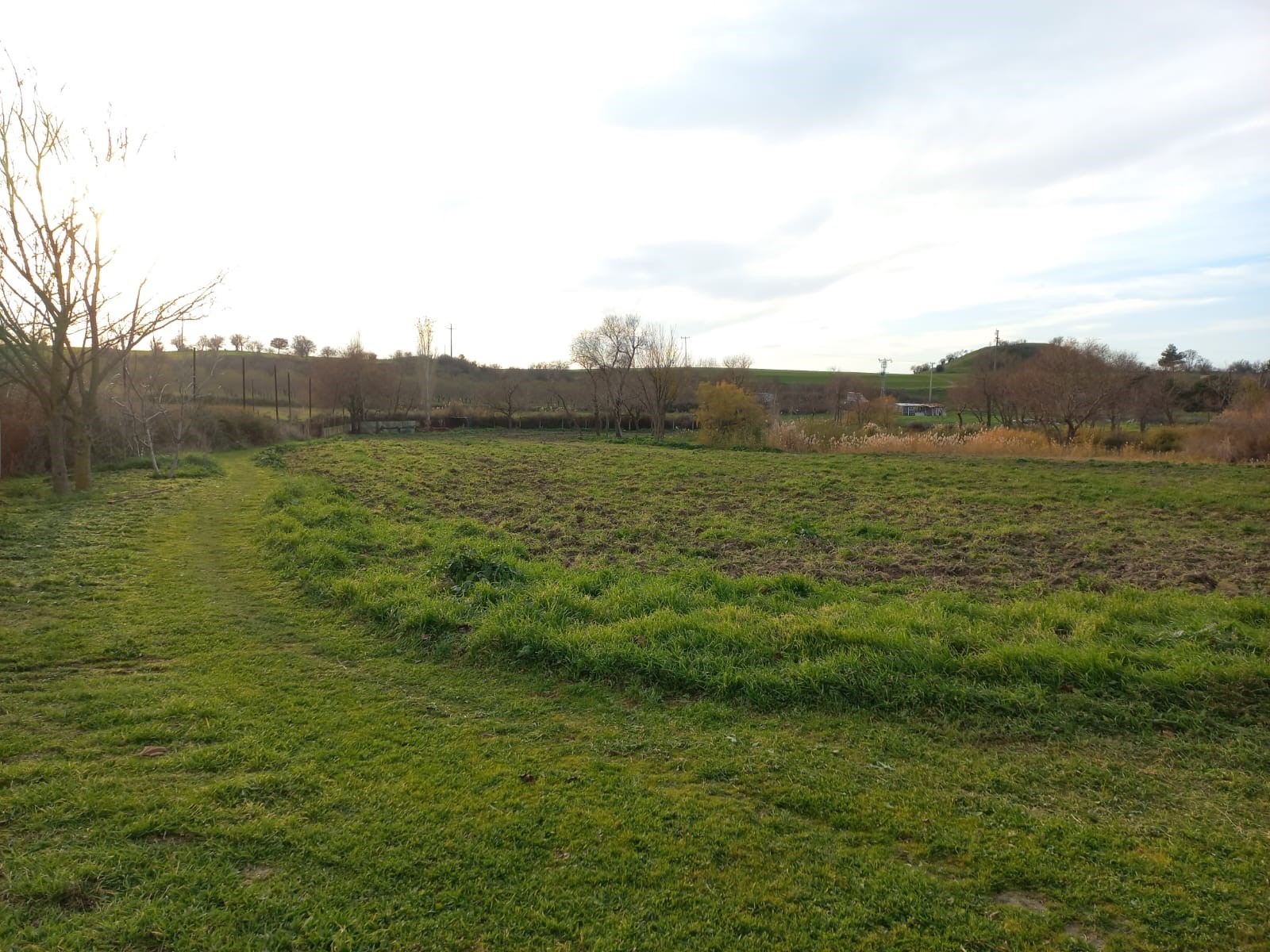 Edirne Enez'de Satılık 23.137 m² Müstesna Çiftlik Evi