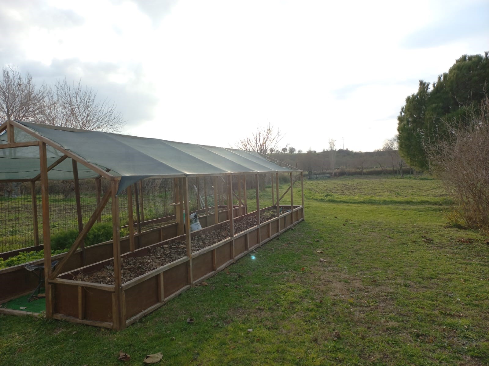 Edirne Enez'de Satılık 23.137 m² Müstesna Çiftlik Evi