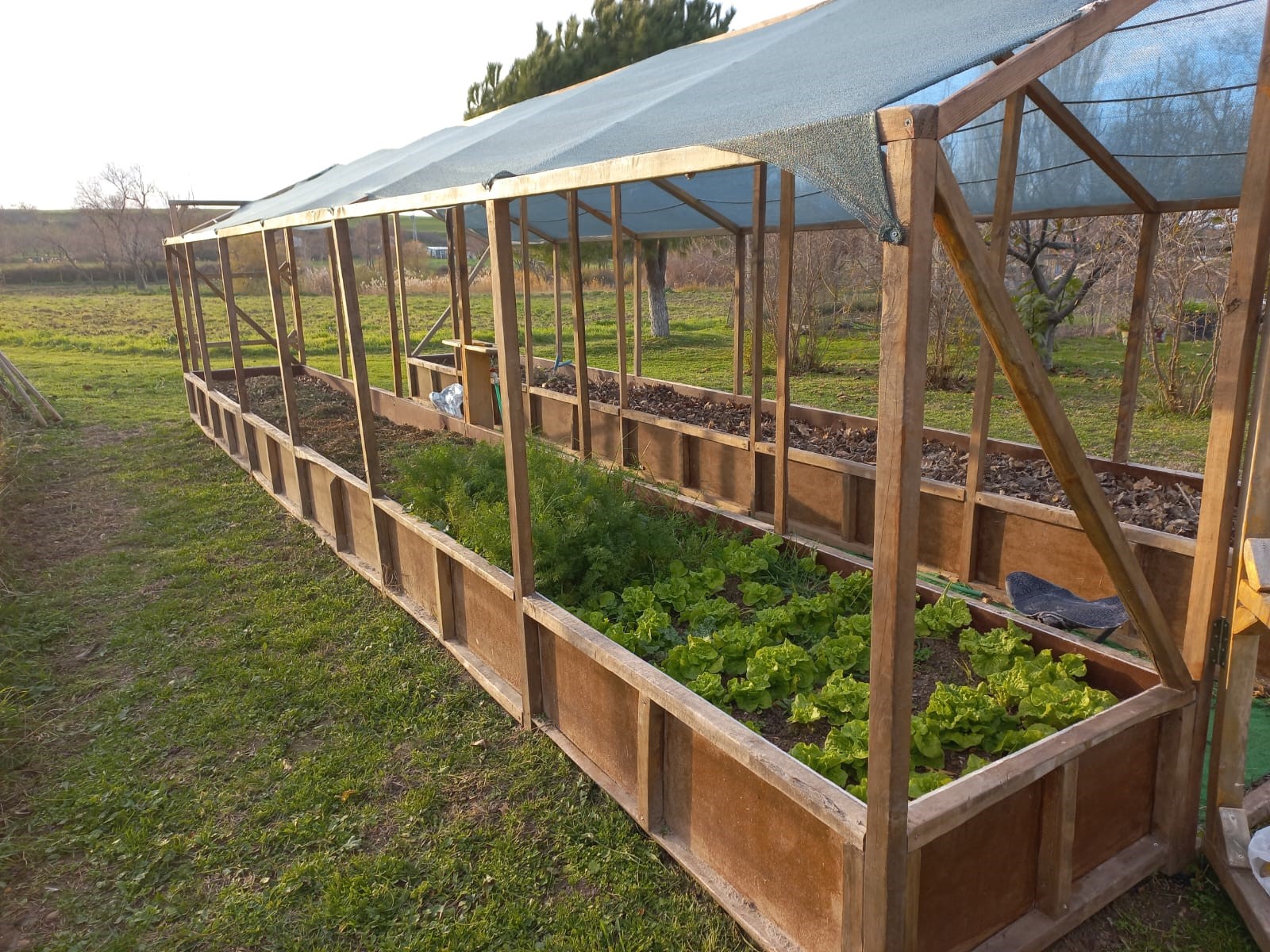 Edirne Enez'de Satılık 23.137 m² Müstesna Çiftlik Evi