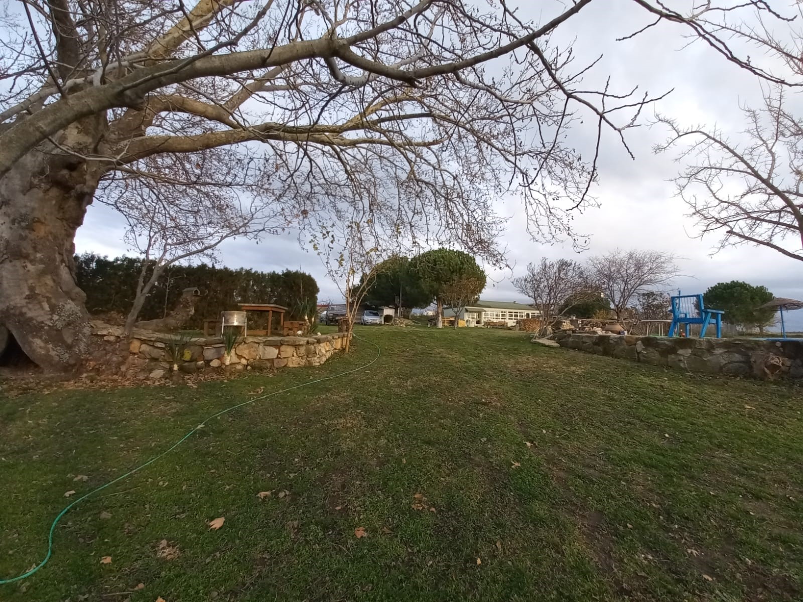 Edirne Enez'de Satılık 23.137 m² Müstesna Çiftlik Evi