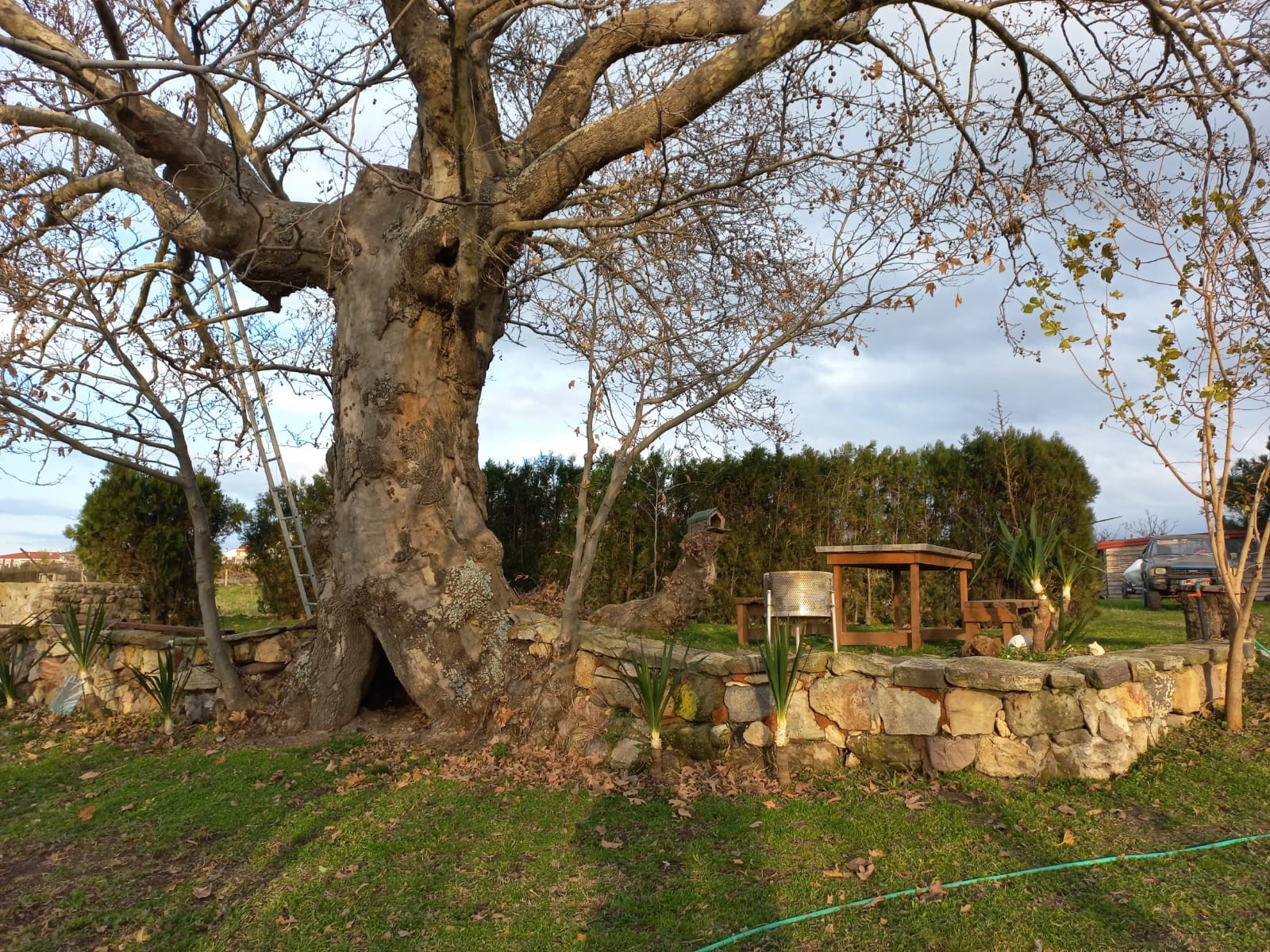 Edirne Enez'de Satılık 23.137 m² Müstesna Çiftlik Evi