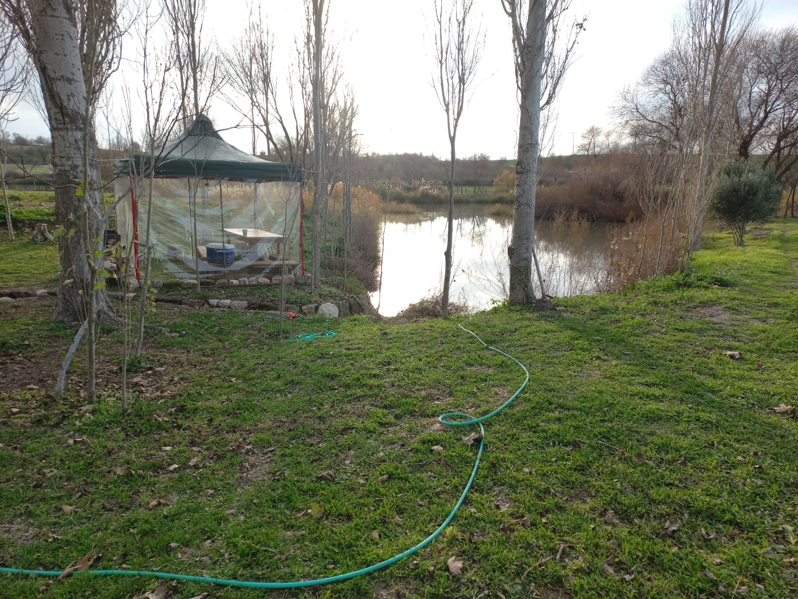 Edirne Enez'de Satılık 23.137 m² Müstesna Çiftlik Evi