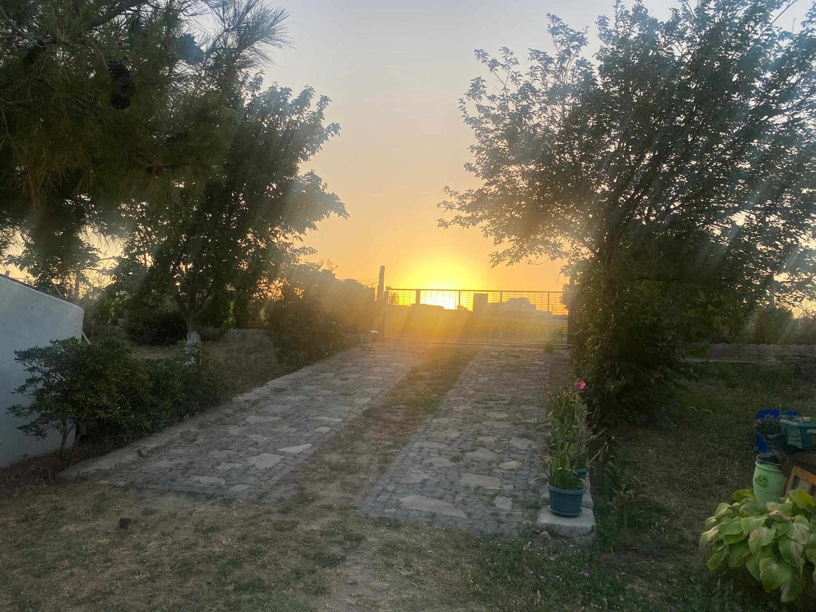 Edirne Enez'de Satılık 23.137 m² Müstesna Çiftlik Evi