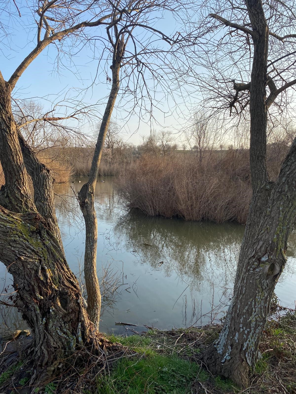 Edirne Enez'de Satılık 23.137 m² Müstesna Çiftlik Evi