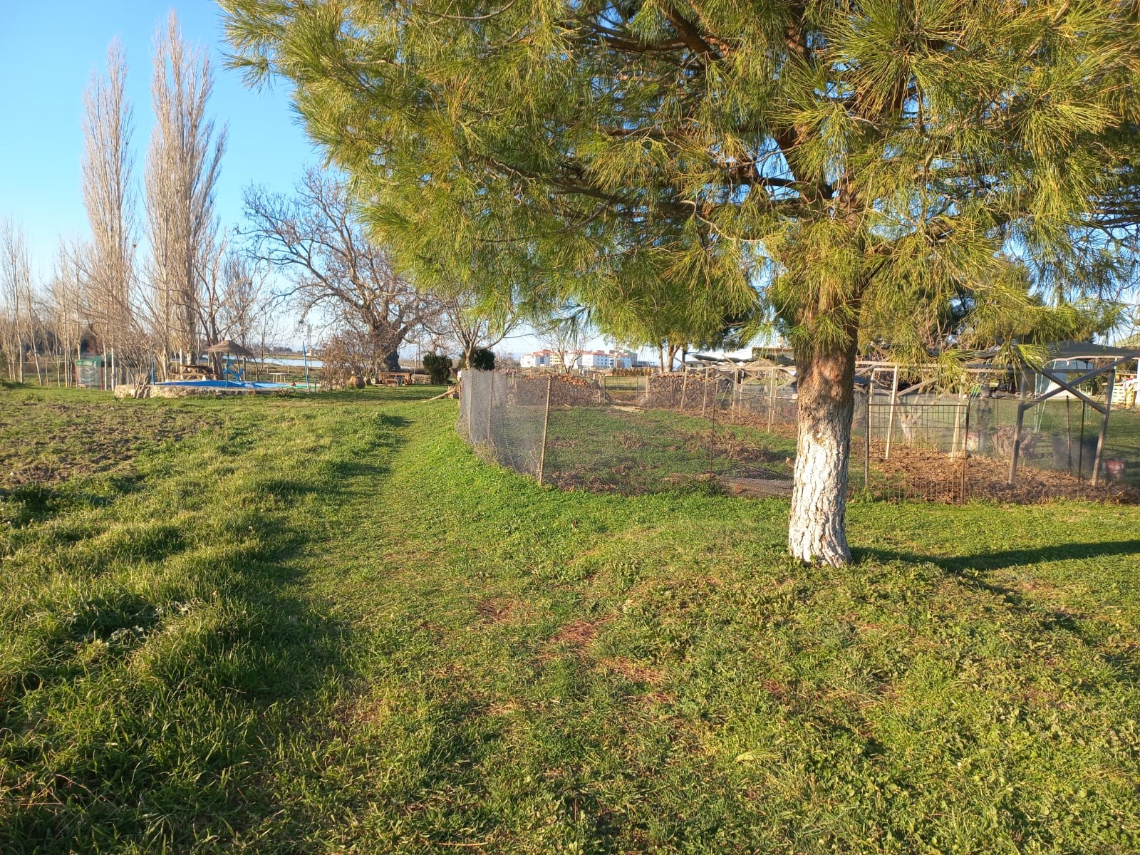 Edirne Enez'de Satılık 23.137 m² Müstesna Çiftlik Evi