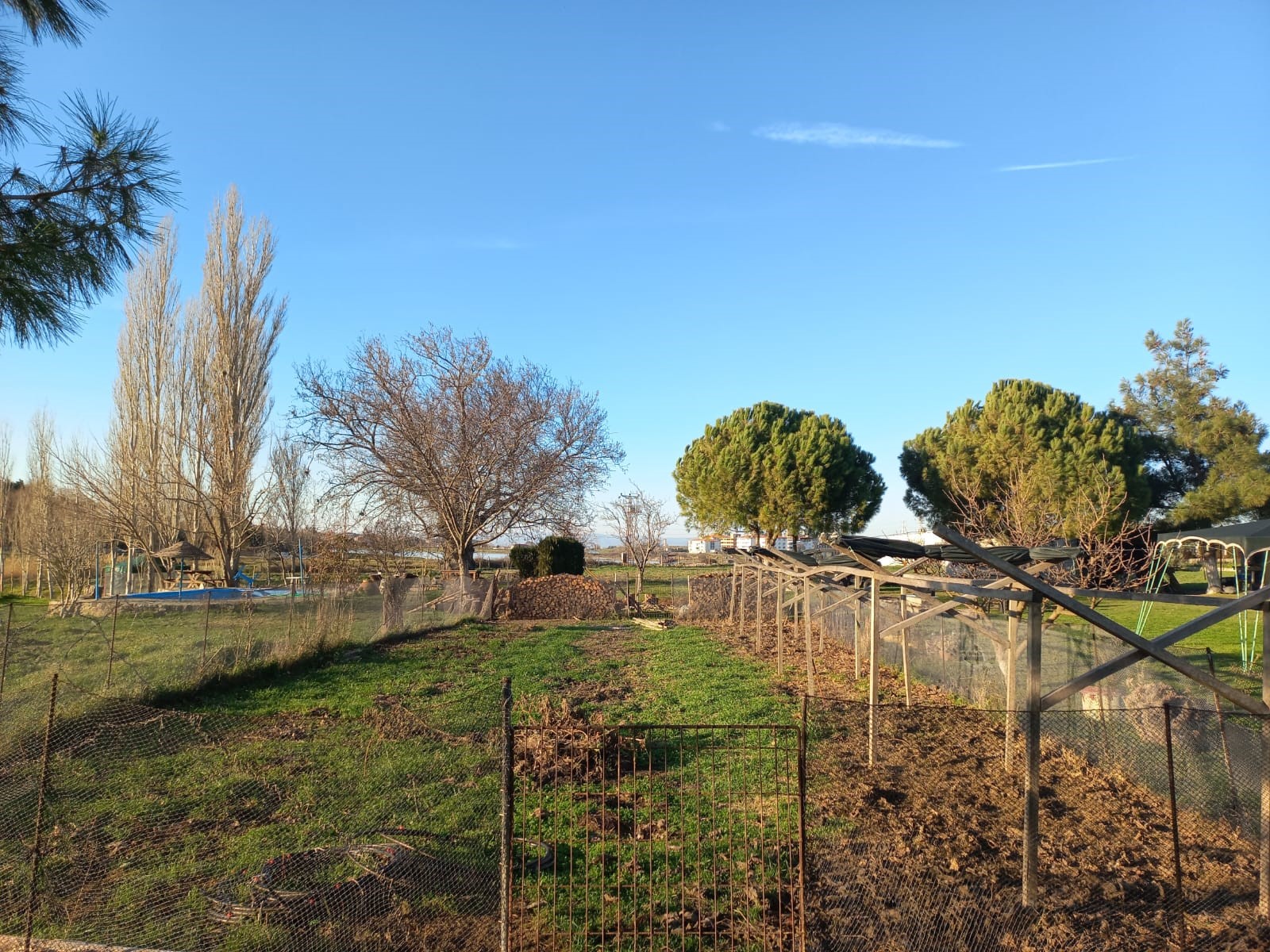 Edirne Enez'de Satılık 23.137 m² Müstesna Çiftlik Evi