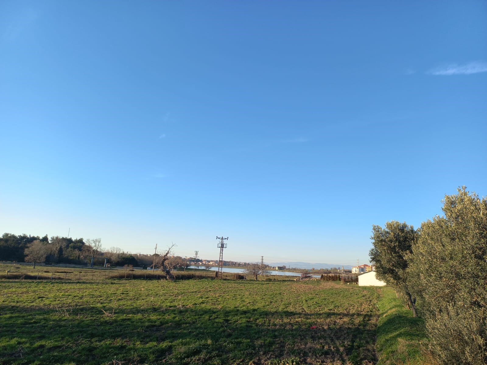 Edirne Enez'de Satılık 23.137 m² Müstesna Çiftlik Evi