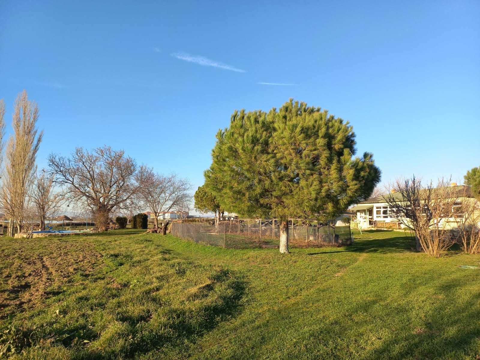 Edirne Enez'de Satılık 23.137 m² Müstesna Çiftlik Evi