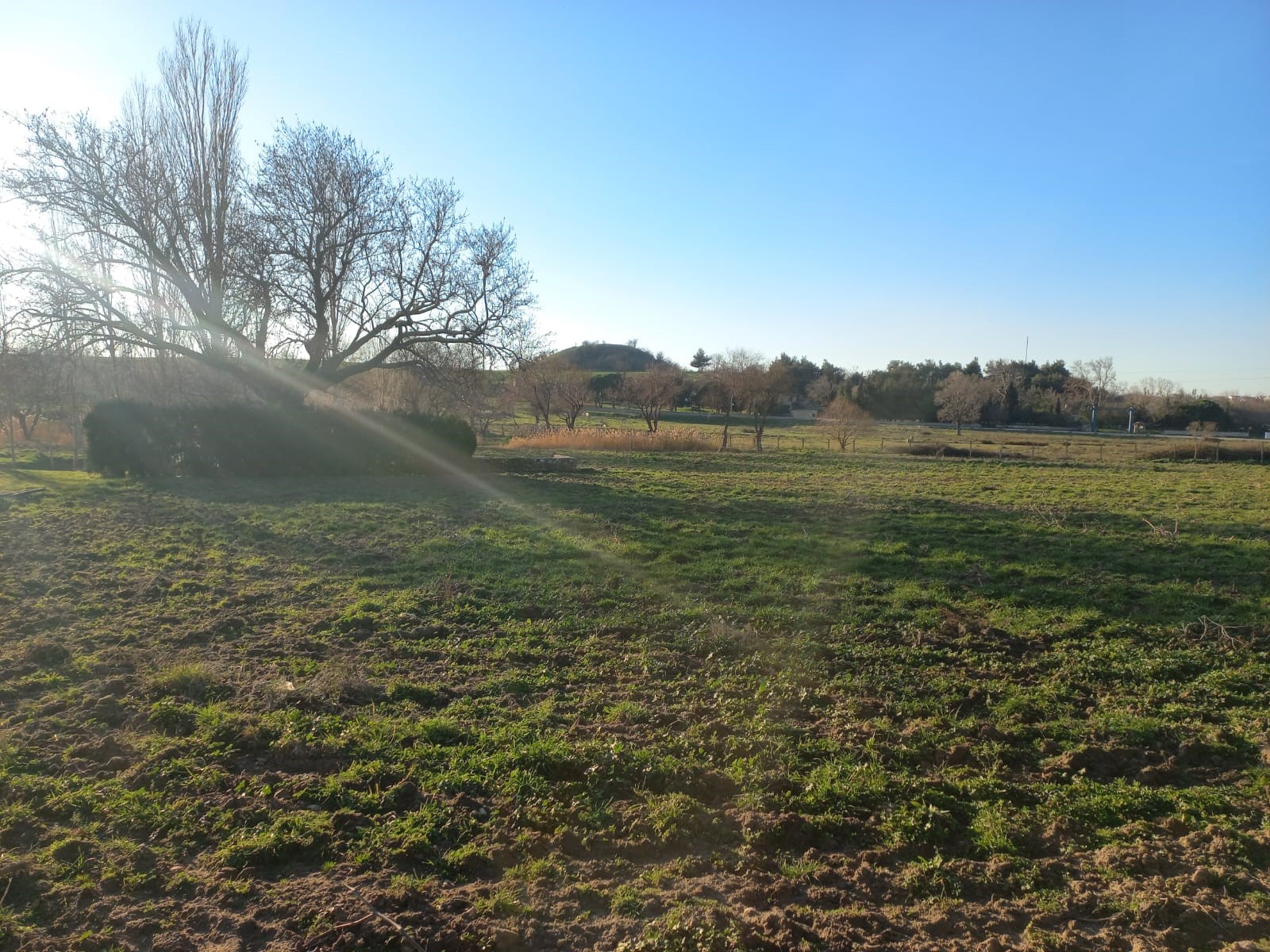 Edirne Enez'de Satılık 23.137 m² Müstesna Çiftlik Evi