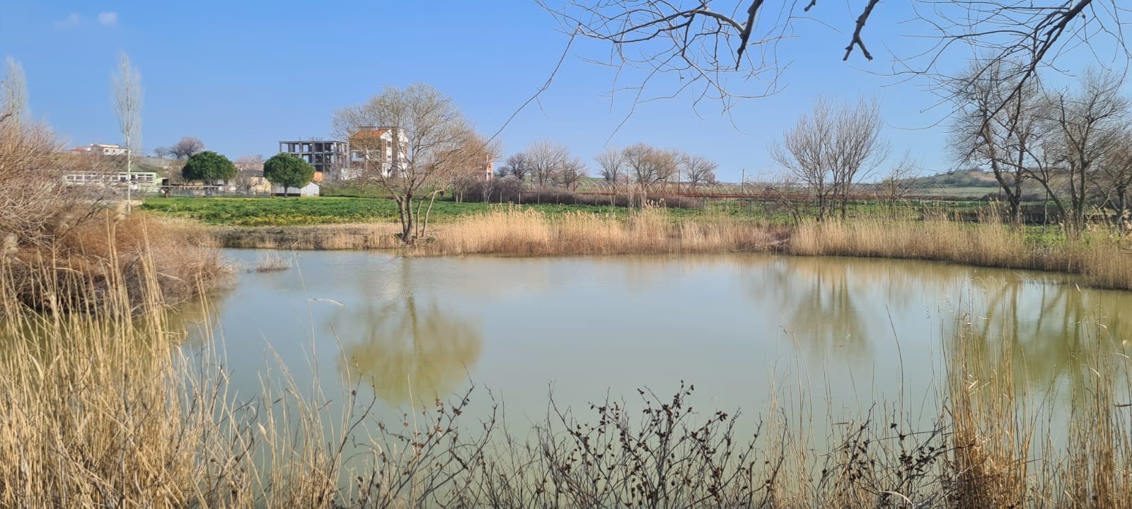 Edirne Enez'de Satılık 23.137 m² Müstesna Çiftlik Evi