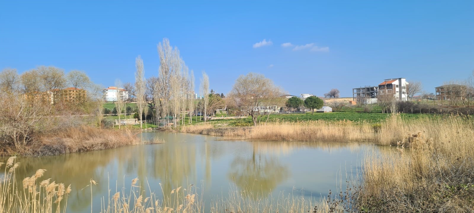 Edirne Enez'de Satılık 23.137 m² Müstesna Çiftlik Evi