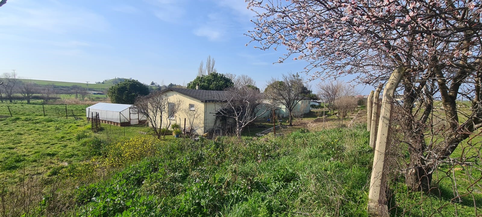 Edirne Enez'de Satılık 23.137 m² Müstesna Çiftlik Evi