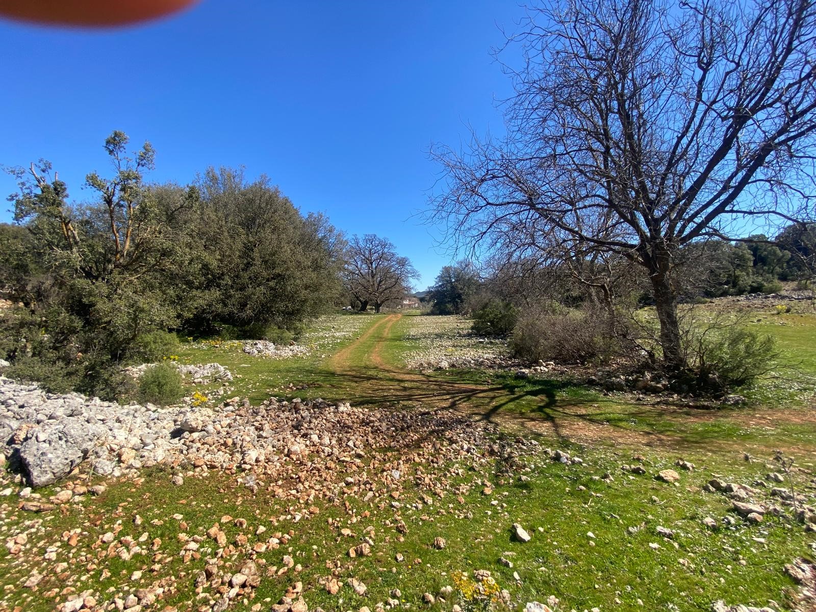 Kaş Pınarbaşı Kartın mevkiinde kupon tarla