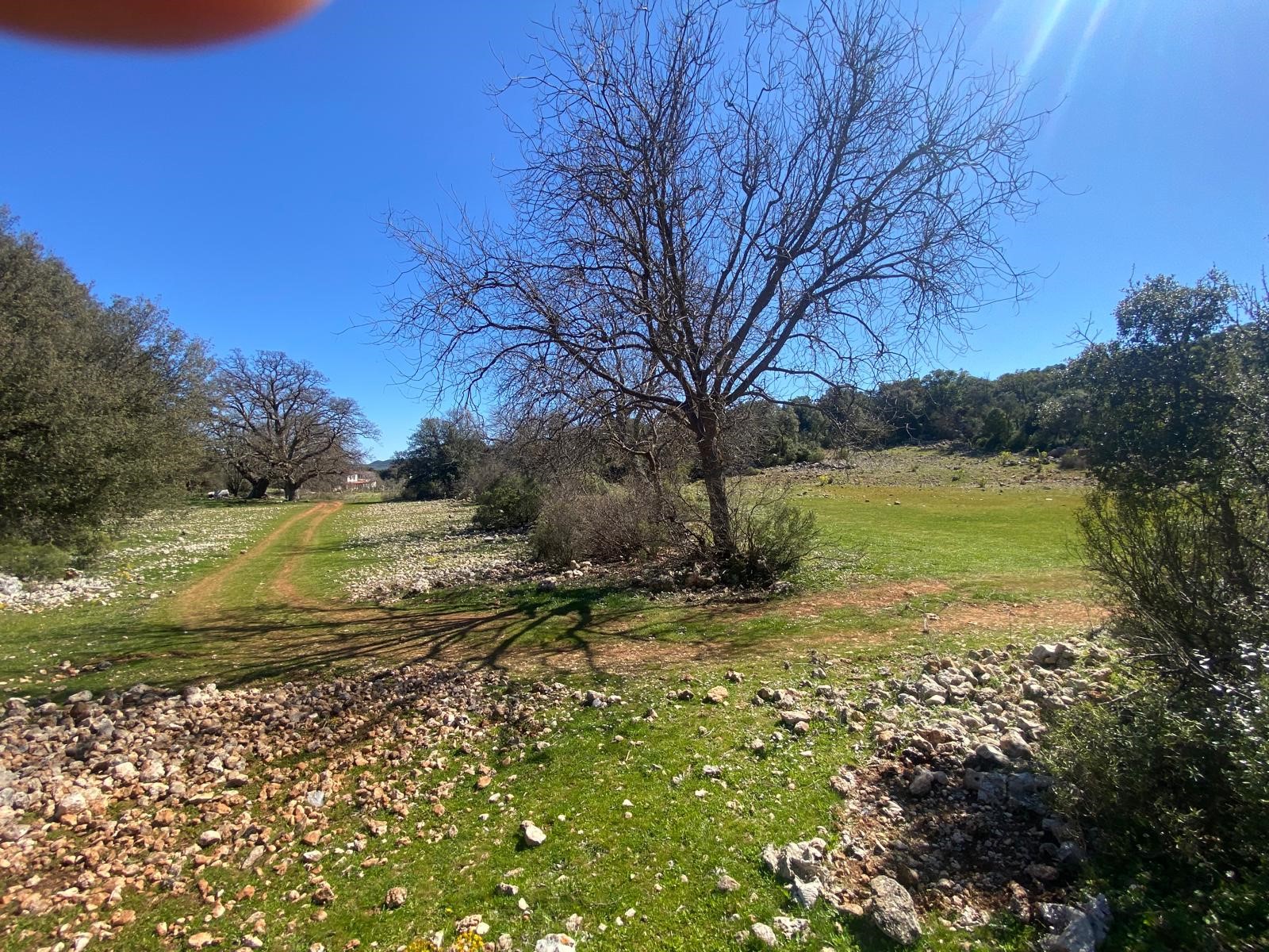 Kaş Pınarbaşı Kartın mevkiinde kupon tarla