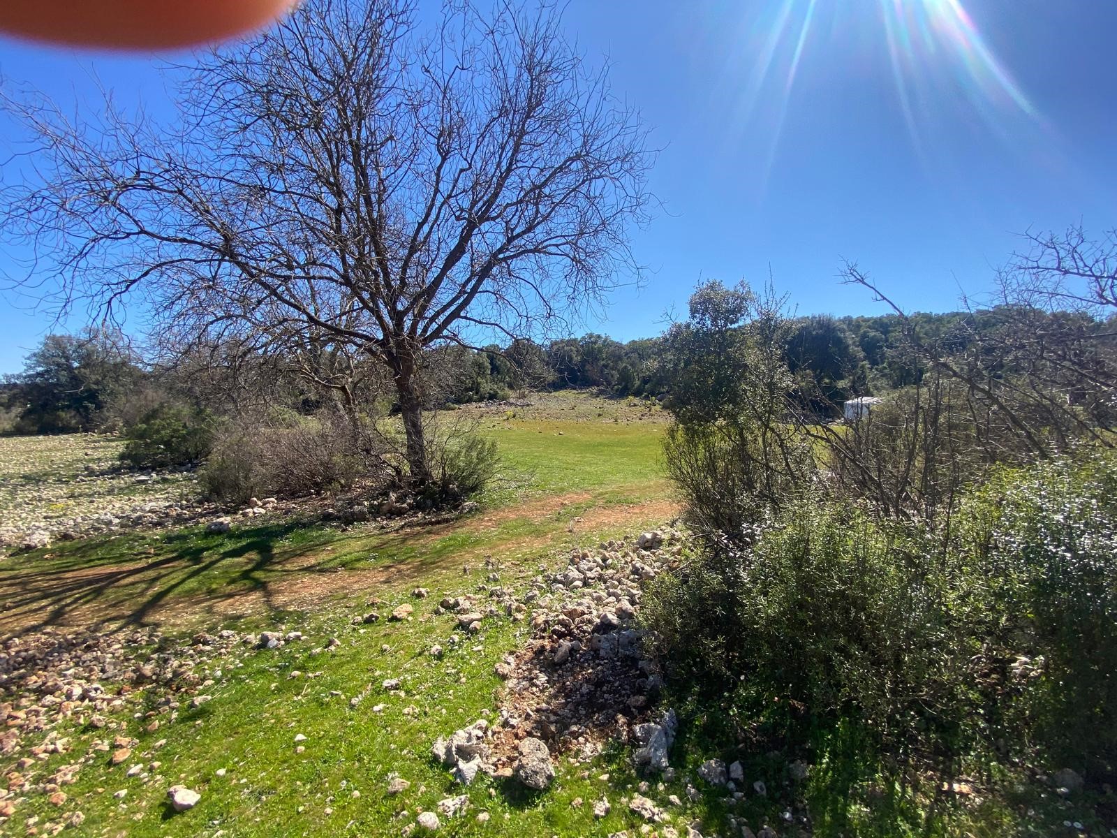 Kaş Pınarbaşı Kartın mevkiinde kupon tarla