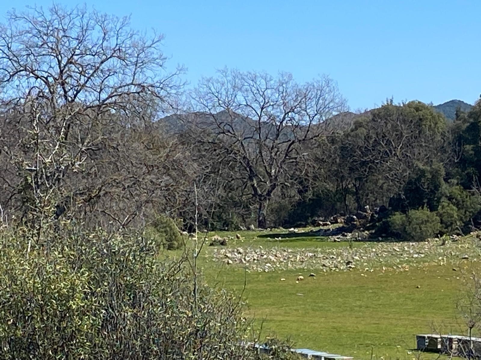 Kaş Pınarbaşı Kartın mevkiinde kupon tarla