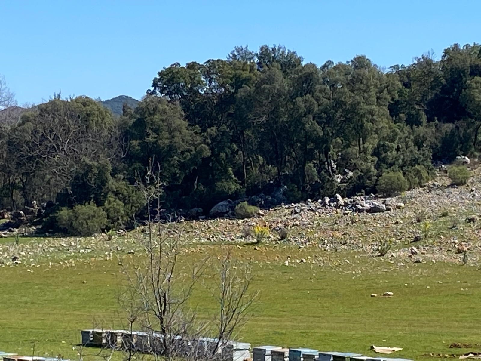 Kaş Pınarbaşı Kartın mevkiinde kupon tarla
