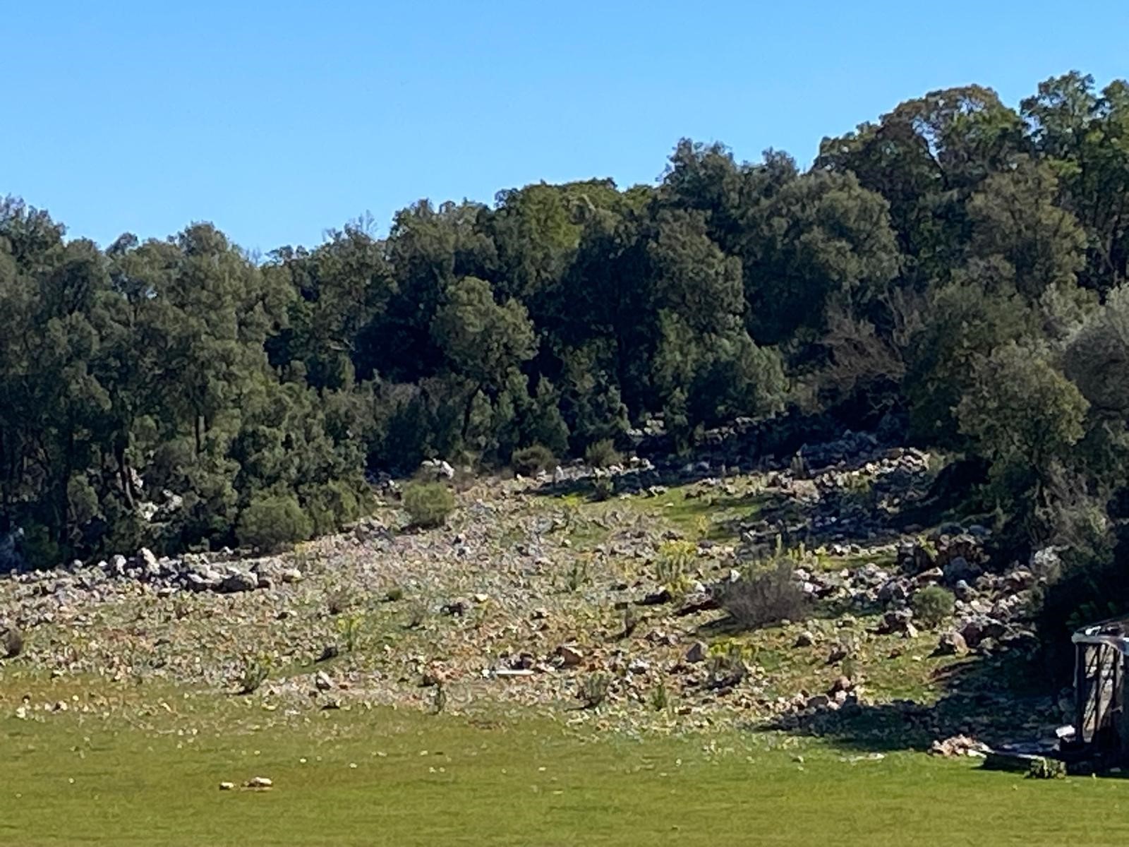 Kaş Pınarbaşı Kartın mevkiinde kupon tarla
