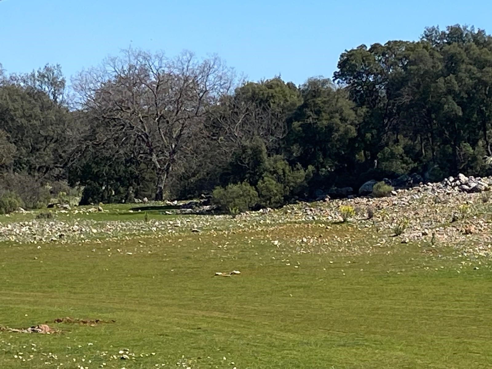 Kaş Pınarbaşı Kartın mevkiinde kupon tarla