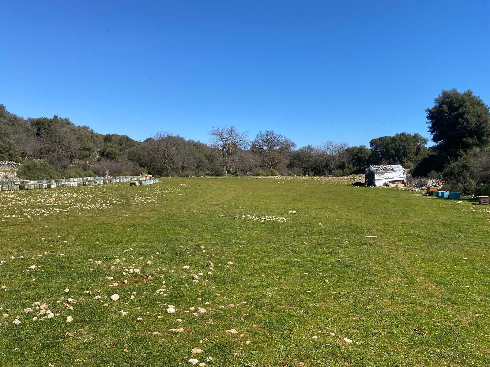 Kaş Pınarbaşı Kartın mevkiinde kupon tarla