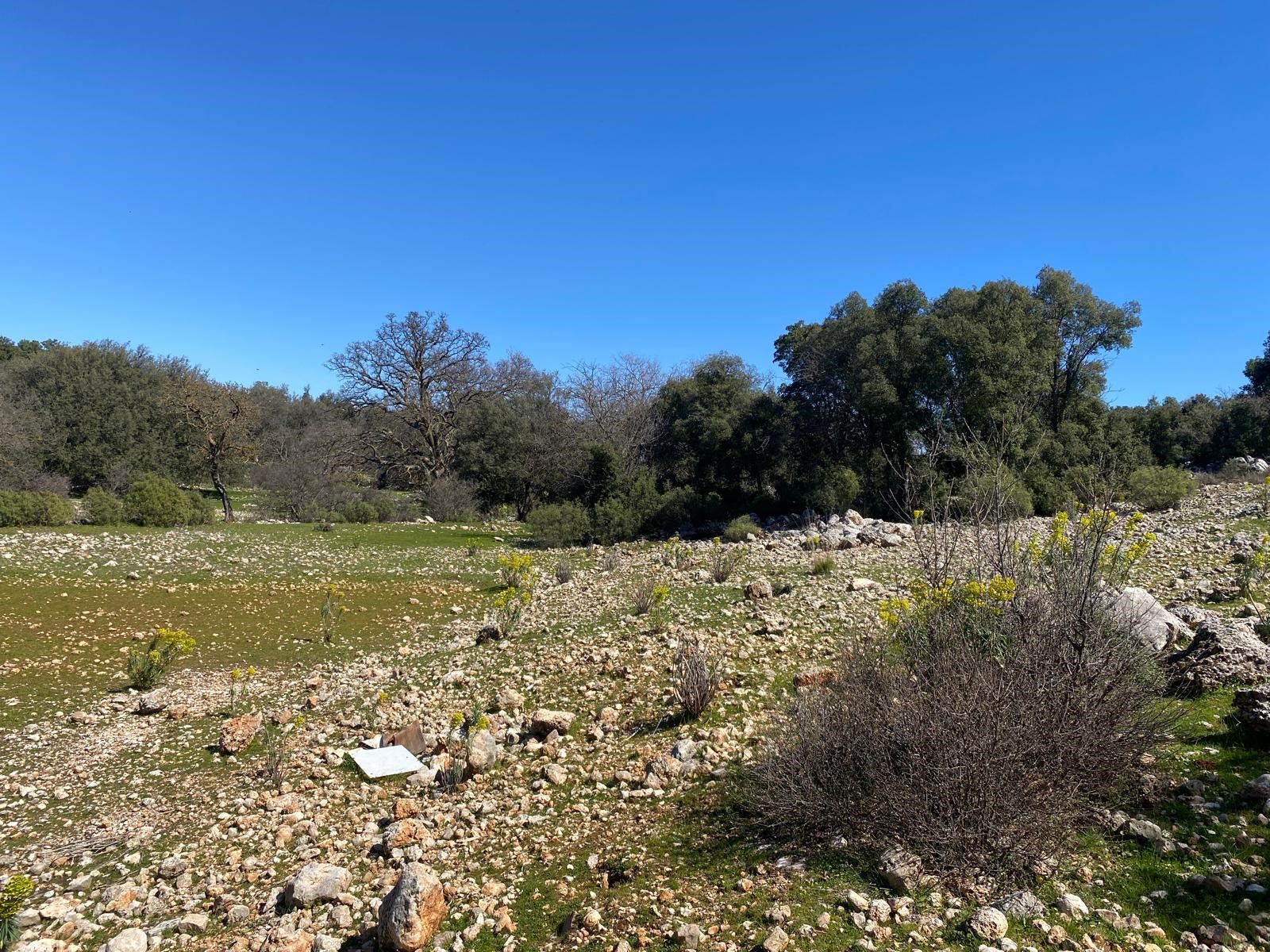 Kaş Pınarbaşı Kartın mevkiinde kupon tarla
