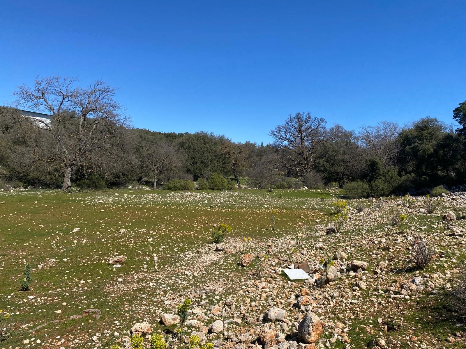 Kaş Pınarbaşı Kartın mevkiinde kupon tarla