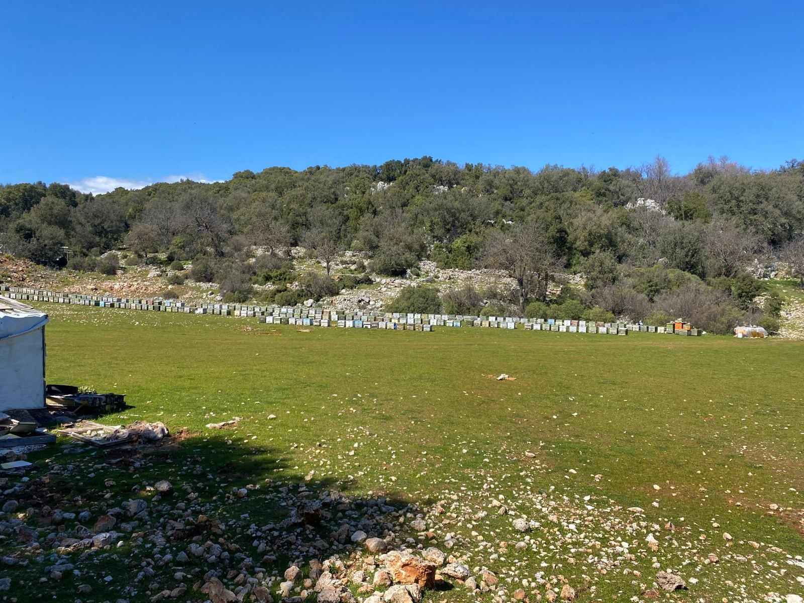 Kaş Pınarbaşı Kartın mevkiinde kupon tarla