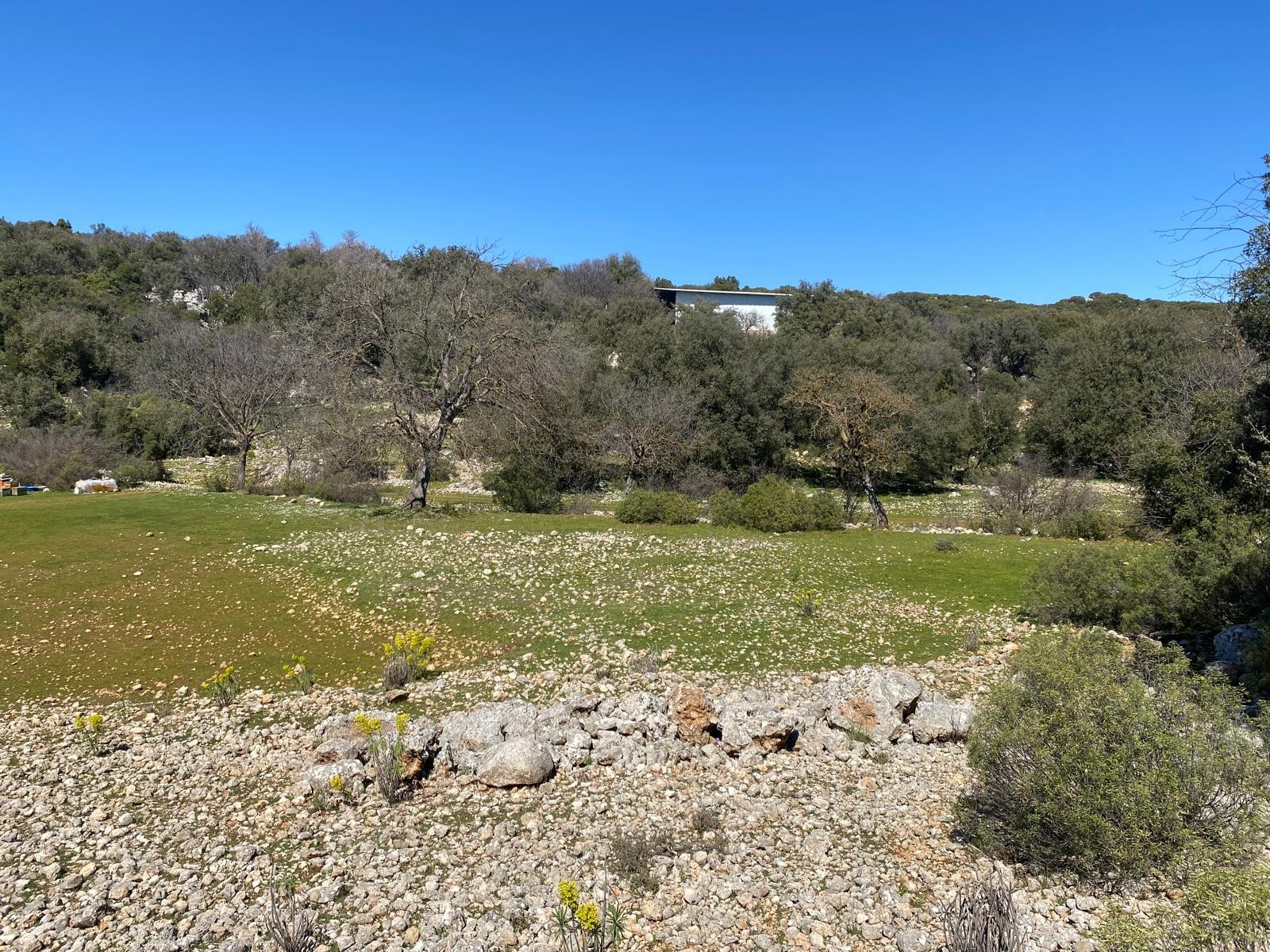 Kaş Pınarbaşı Kartın mevkiinde kupon tarla