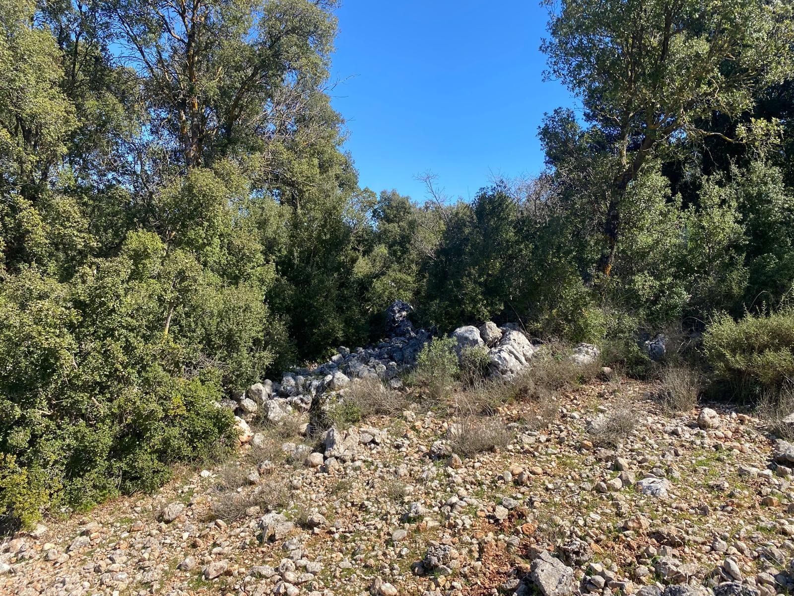 Kaş Pınarbaşı Kartın mevkiinde kupon tarla