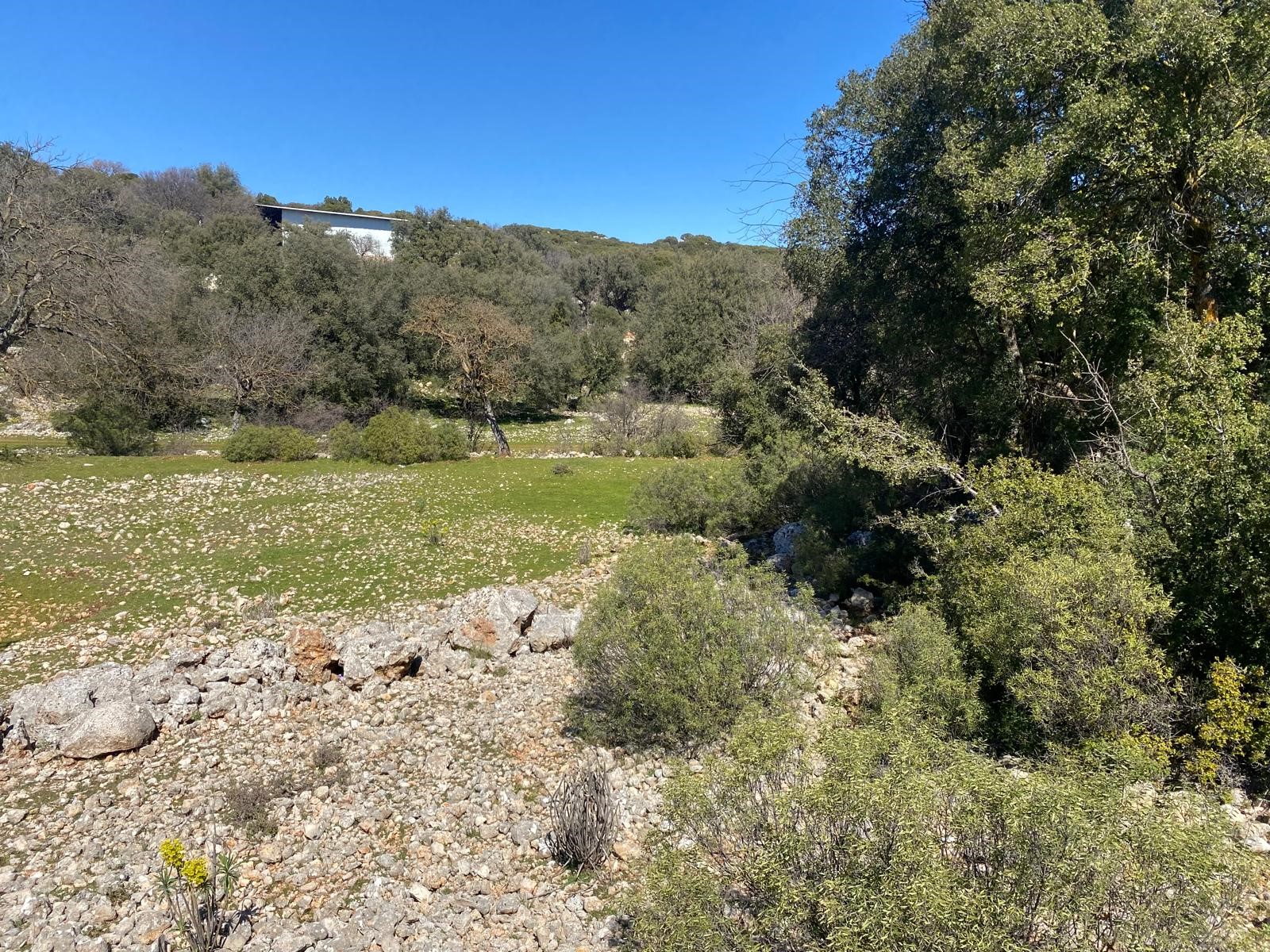 Kaş Pınarbaşı Kartın mevkiinde kupon tarla