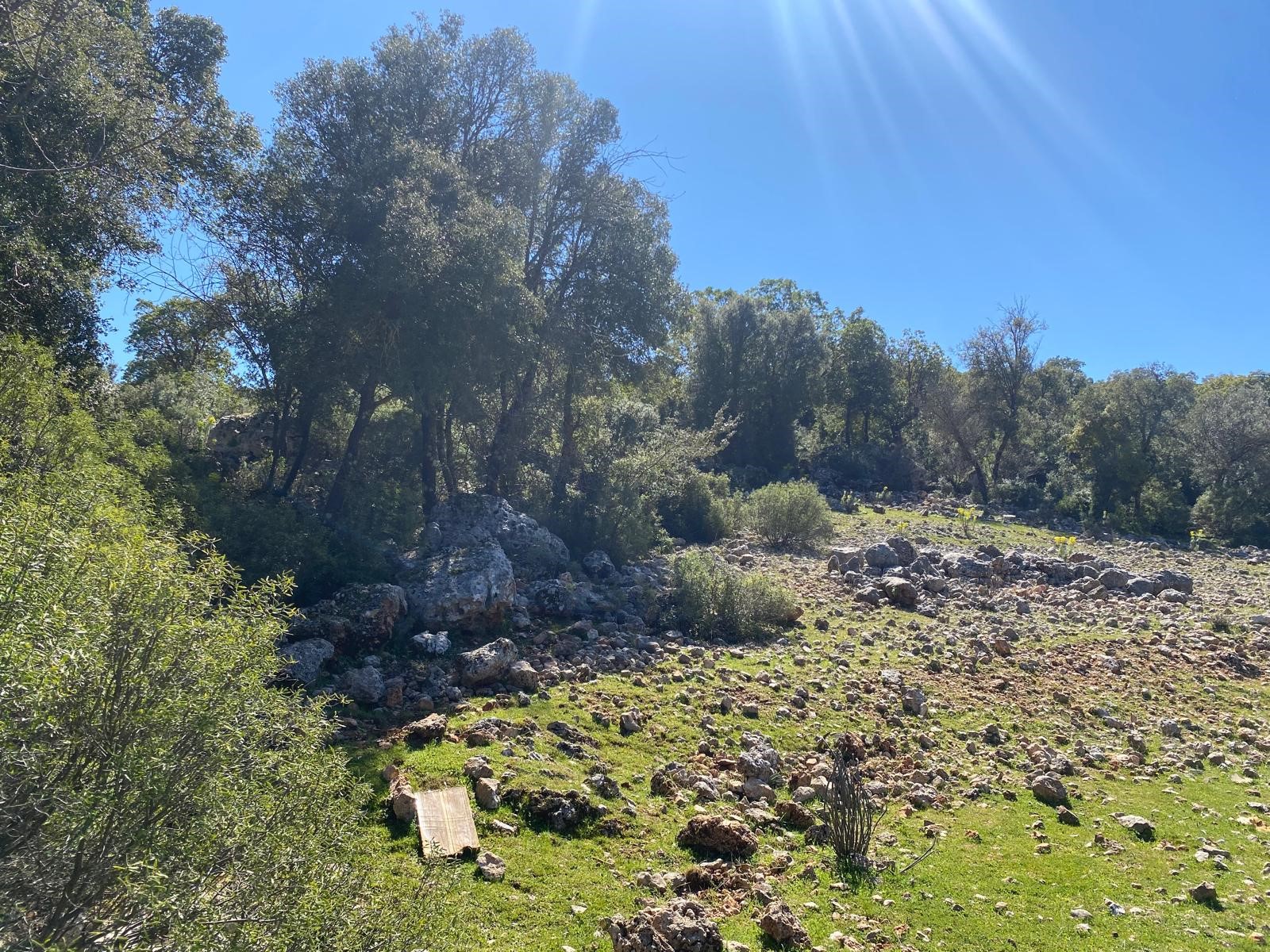 Kaş Pınarbaşı Kartın mevkiinde kupon tarla